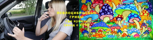 эйфоретик Белоозёрский