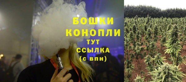 эйфоретик Белоозёрский