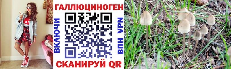 Псилоцибиновые грибы Psilocybine cubensis  Очёр 