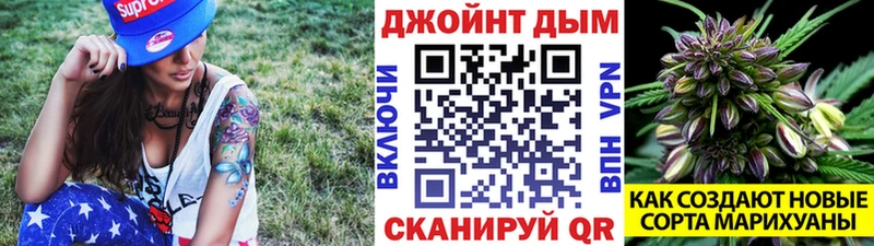 Бошки марихуана OG Kush  как найти наркотики  mega ссылка  Очёр 